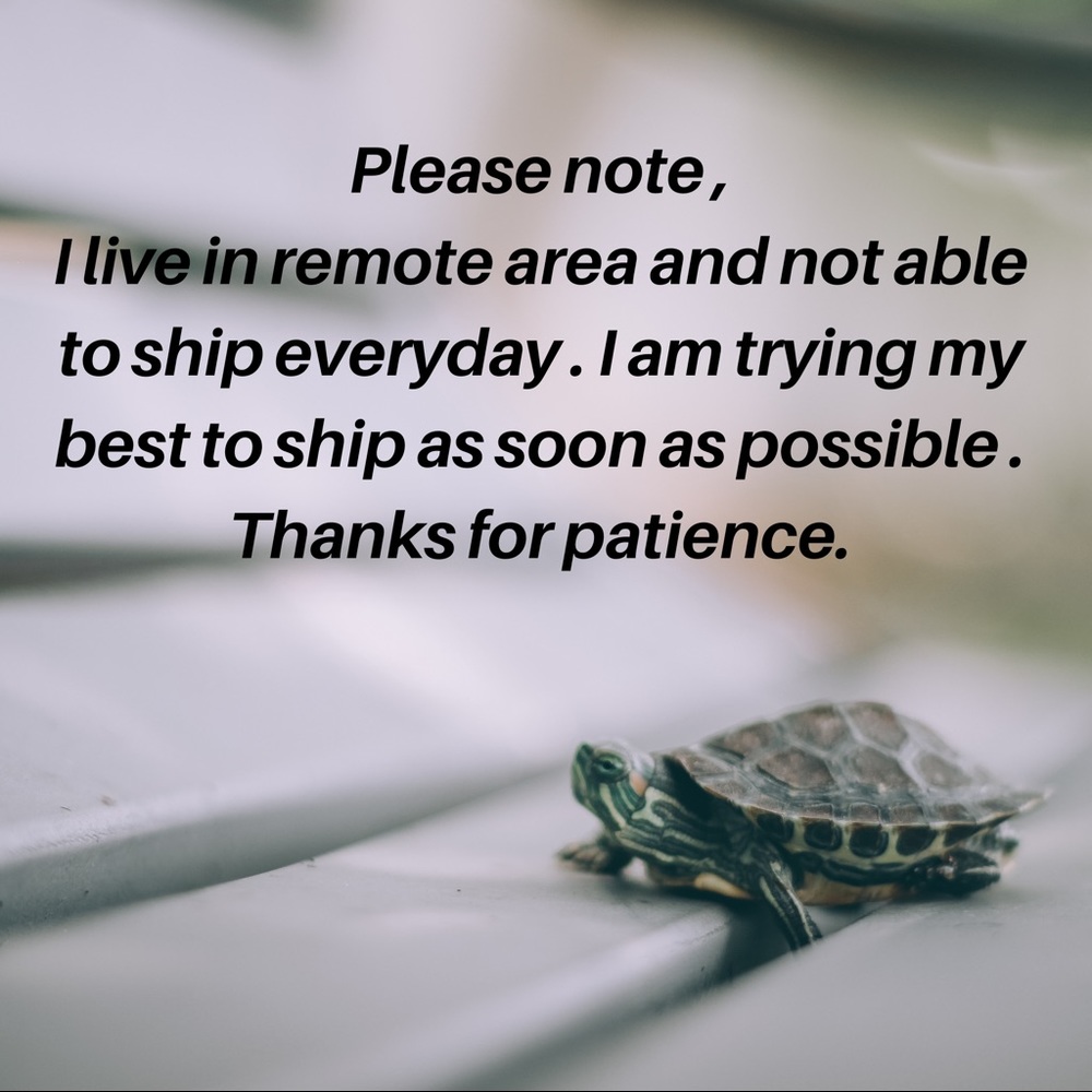My apologies for longer shipping times .